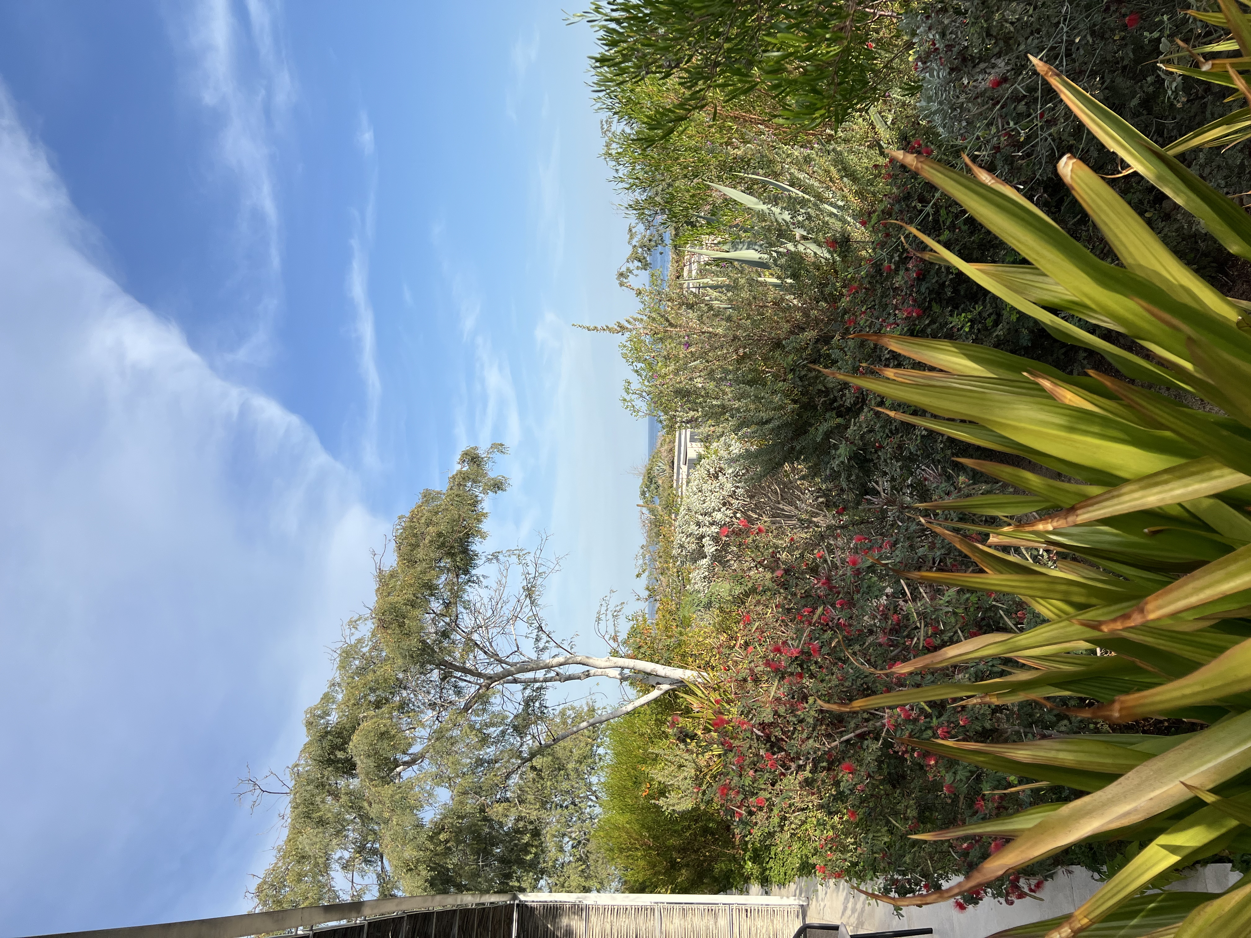 ./2024/13 - Cabo/IMG_4141.jpg